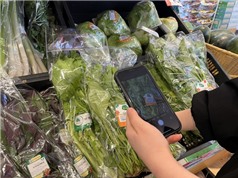 Truy xuất nguồn gốc: Khi dữ liệu chưa chuẩn hóa và thiếu đồng bộ